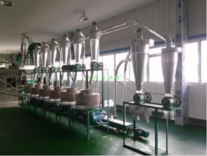 全自動石磨面粉機(jī)組6連型 健康生活新選擇
